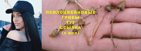 гидра Аркадак