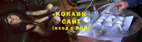 гидра Аркадак