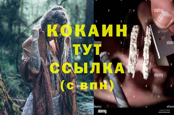 молекула духа Арсеньев