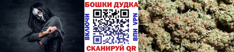 Бошки марихуана сатива  Павлово 